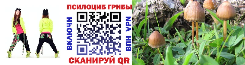 Псилоцибиновые грибы ЛСД  Мелеуз 